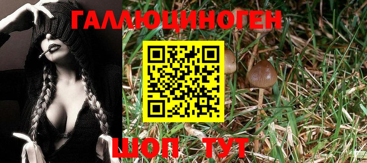 Псилоцибиновые грибы мухоморы Лыткарино