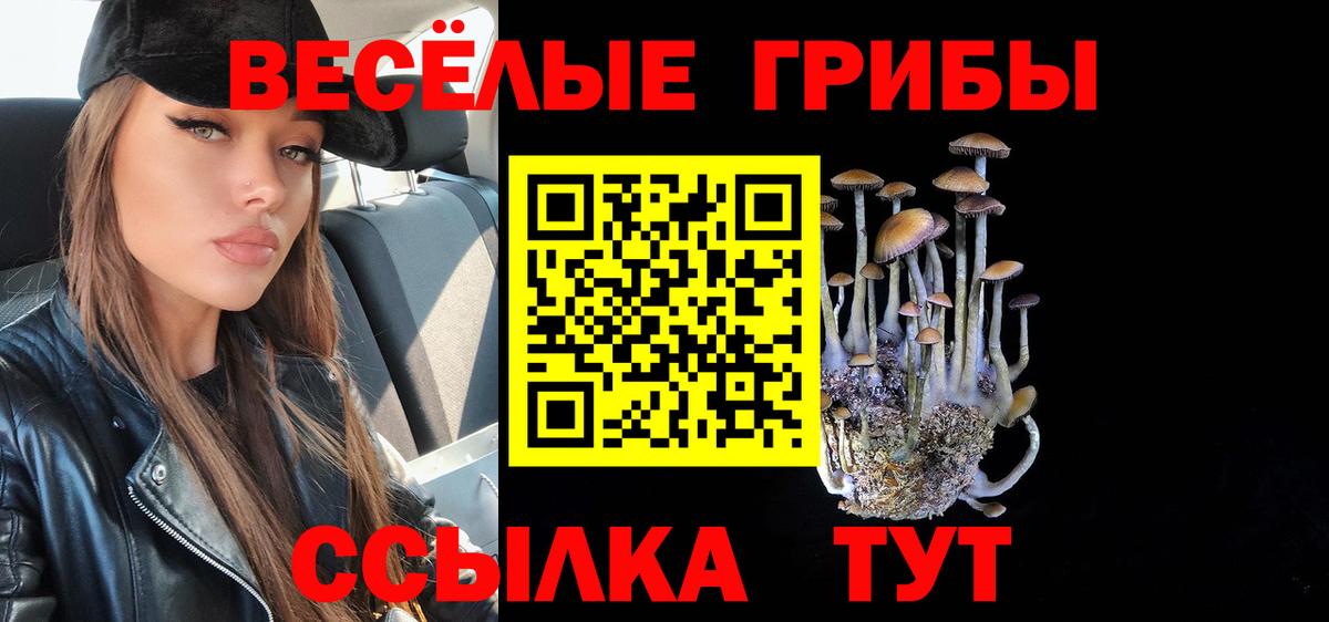 Лыткарино  Галлюциногенные грибы Cubensis  Вход с VPN 